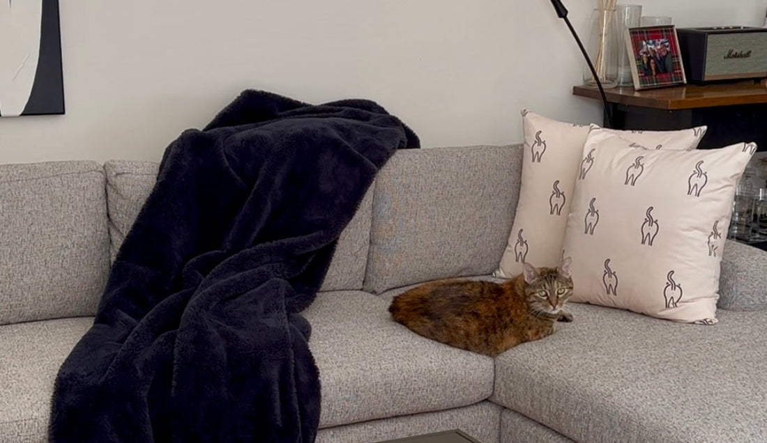 How to Make an Eco-Friendly Cat Toy