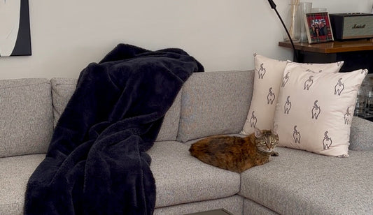 How to Make an Eco-Friendly Cat Toy