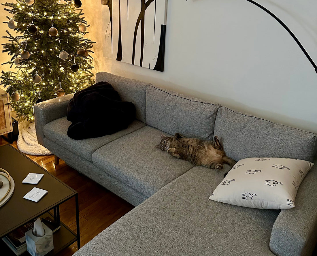 5 Simple Ways to Keep Your Cat Calm This Holiday Season